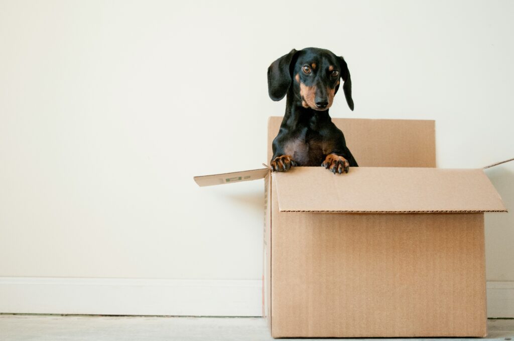 Moving home 